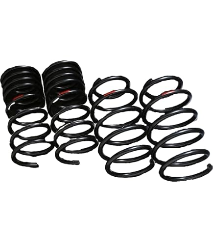 Amazon | レーシング ギア (RACING GEAR) ダウンスプリング 【LOWFORM 