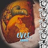 ever.�y�������Ձz