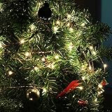 ハロウィン イルミネーションライト 15m 150LED 飾りライト インテリアライト リモコン付き コンセント給電式　LEDライト 常時点灯/点滅パタン切替可 結婚式 ジュエリーライト パーティー 