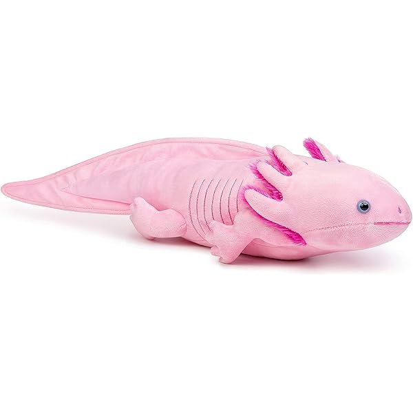 Amazon.co.jp: オオサンショウウオ、犬 ぬいぐるみ まとめ売り : おもちゃ