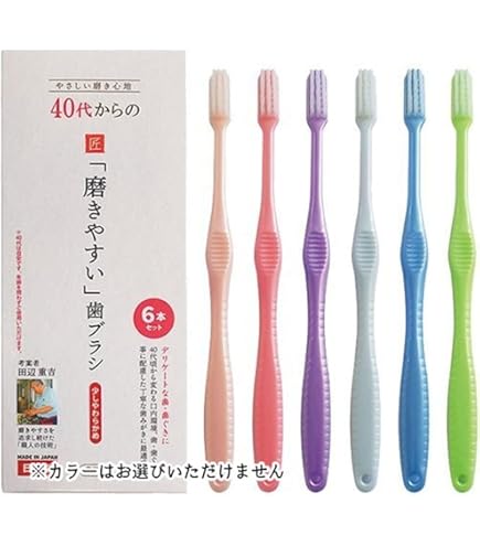 Amazon | 磨きやすい歯ブラシ 極 ふつう 先細毛 6本セット LT-53