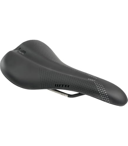 Amazon | WTB Unisex's Volt Bicycle Saddle, Chromoly/Black, M