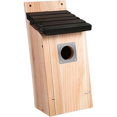 Amazon.co.jp 最新リリース: 鳥用品 の新着ランキングです。