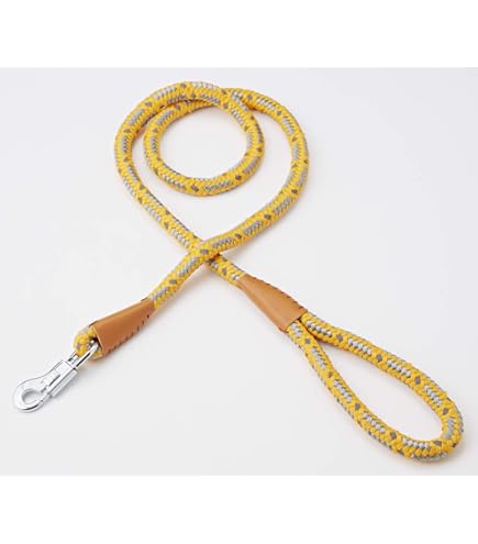 Amazon.co.jp: 大衆心理と広告技法 実践編 Great Leads : ペット用品