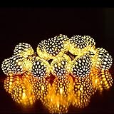 AGPTEK® Solar Powered LED Ball String Lights / Waterproof Globe Fairy Light for Garden Patio Party W