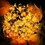 Ankway Blossom Flower Outdoor String Lights / 16FT 30 LEDs String Lights Warm White Solar Power Outd