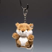 61UOmK05KQL._AC_UL210_SR210,