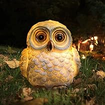 61UPIUP7khL._AC_UL210_SR210,