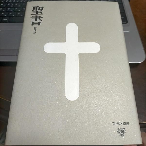 新改訳聖書 第二版 引照.注つき　いのちのことば社 聖書 新改訳2017 小型スタンダード版 引照・注付 NBI-30 (いのち