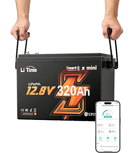 Amazon.co.jp: LiTime 12V400Ah リン酸鉄リチウムイオンバッテリー 
