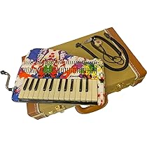 Amazon | 鈴木楽器製作所 SUZUKI andes25F + ハードケース