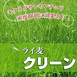 [タネ 秋まき 極早生 緑肥、センチュウ対策に！]牧草種子：ライ麦クリーン 1kg入 2袋セット ノーブランド品