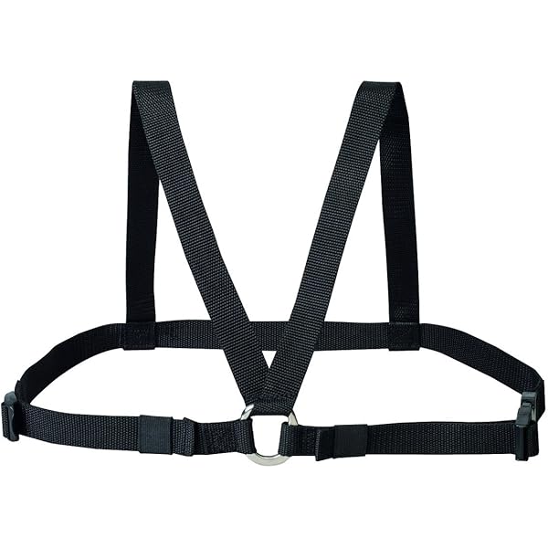 Amazon.co.jp: FLYYE Path-Finder Chest Harness RG : 産業・研究開発用品