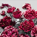 輸入壁紙/Temptation/サイズ：368×248cm/XXL4-002/Z3K