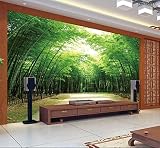 lhdlily 3d Large壁画竹ソファ壁紙シンプルなGardenフォレスト壁紙壁画 LHDLily-561616981-11271