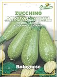 野菜の種 ズッキーニ・ボロネーゼ