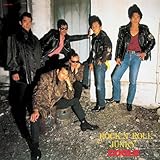 ROCK�fN�f ROLL JUNKY