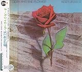 ���Ǝ��̌��z