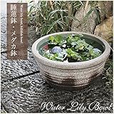 信楽焼 13号灰釉すいれん鉢 睡蓮鉢 スイレン鉢 金魚鉢 水鉢 陶器 su-0054