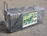 小動物キャッチャー　中　TA２６　捕獲器　W250XH270XD660mm