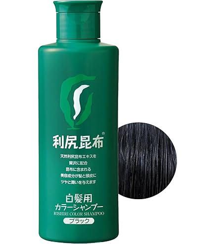 値下げ‼️　利尻炭酸カラーシャンプー ブラック Amazon | Sastty (サスティ) 【白髪用】利尻 炭酸 カラーシャンプー