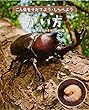 かい方 (こん虫をそだてよう・しらべよう すみか)