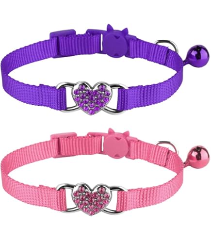 Dillybud Leather Safety Cat Collars Collier Pour Chat Pet Supplies