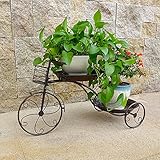 自転車スタイルの鉄フレームフラワーディスプレイスタンド黒と銅あなたのハーブ、花、植物のためのデザイン屋内屋外リビングルーム (色 : ブロンズ, サイズ さいず : 39 * 69)