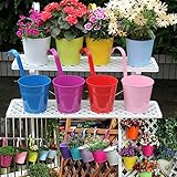 Dewel　金属製植木鉢　１０点セット　壁掛けフラワーポット ガーデニング 　フック付き　おしゃれ　雰囲気作り　実用　飾り　家庭菜園・ベランダ菜園用 (10色セット)