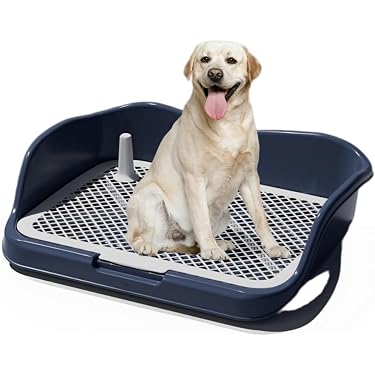 Amazon.co.jp 最新リリース: 犬用トイレトレー の新着ランキングです。
