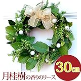 クリスマスリース 玄関 手作り[香るグリーンフレッシュリース]生　30センチ ゴールドオーガンジー