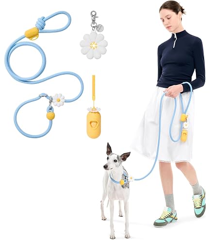 小型犬の首輪とリード Luxe birdieの首輪とリード リュクス バーディ