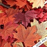 300ミックスFall Colored Artificial Maple Leaves forや結婚式、イベント、デコレーション 300pcs B01LRKA7KE