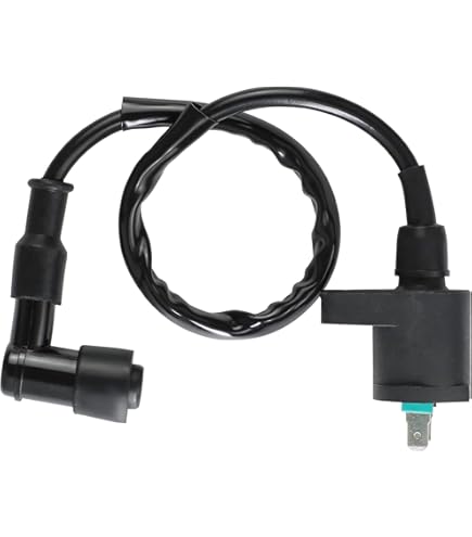 Amazon | INEX 強化イグニッションコイル IGコイル 12V ライブディオZX