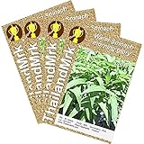 ヨウサイ Thai morning glory 4 Bulk ThailandMrk