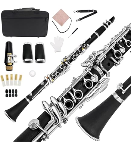 Amazon | 初心者向けクラリネット、長持ちする木製