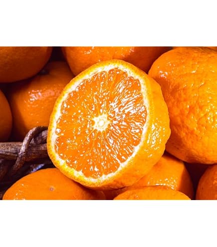 Amazon.co.jp: 【みかんの大トロ せとか 4玉～12玉】 みかん 約1.2kg