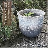 信楽焼 13号青窯変天水すいれん鉢 睡蓮鉢 スイレン鉢 金魚鉢 水鉢 陶器 su-0197
