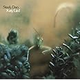 Katy Lied