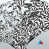 Zebraa [12 inch Analog]