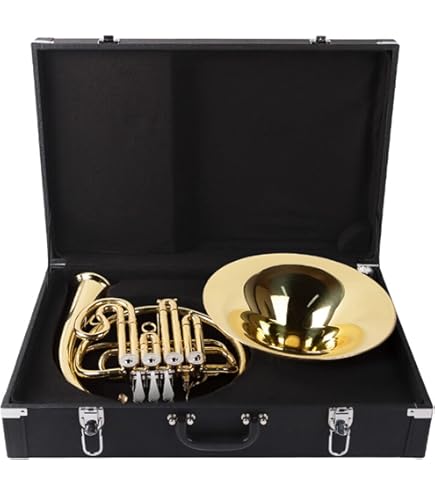 Amazon.co.jp: YAMAHA YHR-314II F シングル ホルン (ヤマハ YHR314II