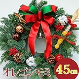 クリスマスリース 玄関 手作り[オレゴンスターリース]生 45ｃｍ（玄関 玄関 レッド