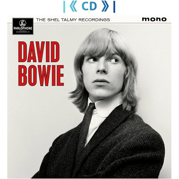 Amazon.co.jp: ROCK 'N' ROLL STAR! - DAVID BOWIE: ミュージック