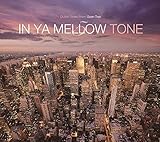 �C���E���E�����E�E�g�[���E5�E�O�[���E�g���b�N�X�E10th�E�A�j���@�[�T���[�E�G�f�B�V����