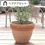 ハーブ栽培セット （ カモミール ＆ ワイルドストロベリー ）【 ヘアケア 用】