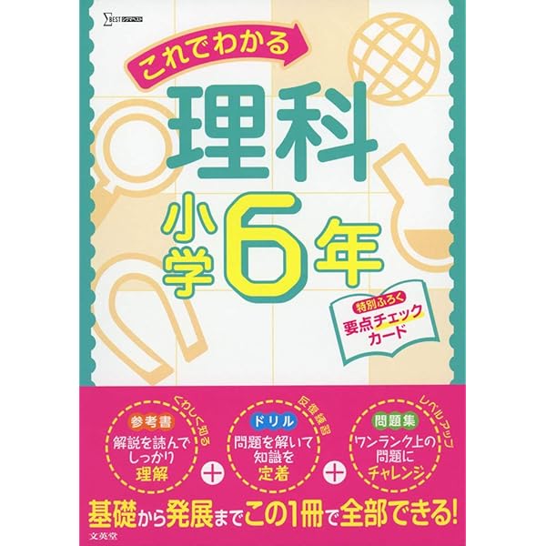 これでわかる算数小学6年 (小学これでわかる) | 文英堂編集部 |本