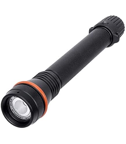 Amazon.co.jp: INON(イノン) LF1000-S 防水型LEDライト : 家電＆カメラ