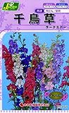 カネコ種苗 草花タネ755 千鳥草 10袋セット