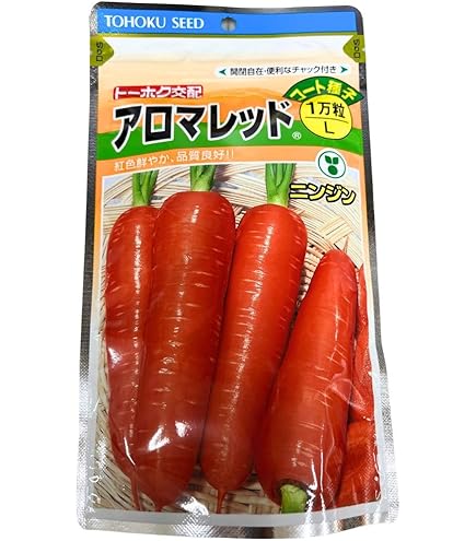 Amazon.co.jp: トーホク フルーティにんじん アロマレッド® 種子 甘く