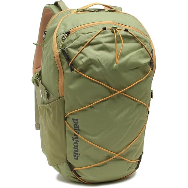 ✨美品✨入手困難 パタゴニア 25L バックパック リュック カーキー希少 ✨美品✨入手困難 パタゴニア 25L バックパック リュック